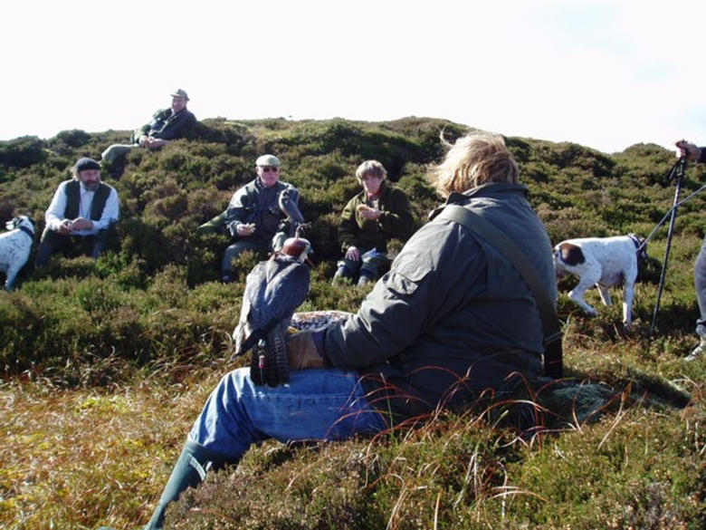 lunchtime in a peat hag