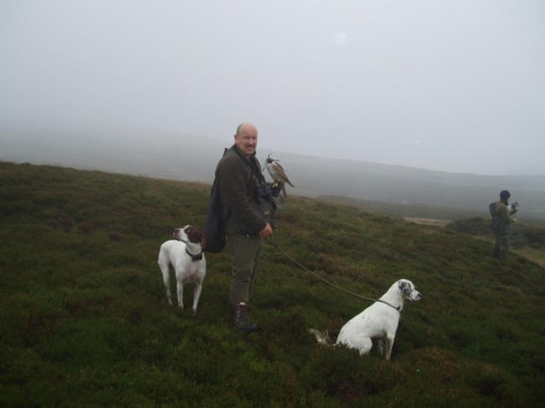 the Arran moors