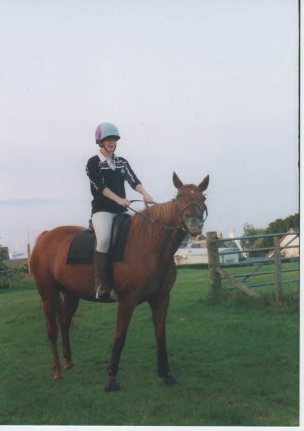 a very relaxed mare