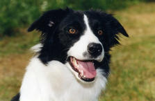 Asti