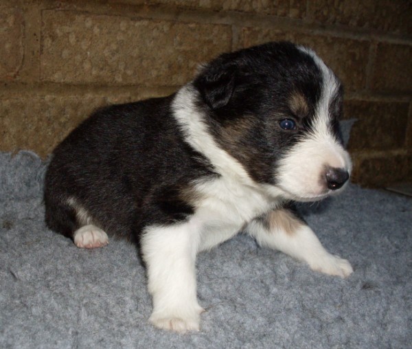 Ben 3 wks