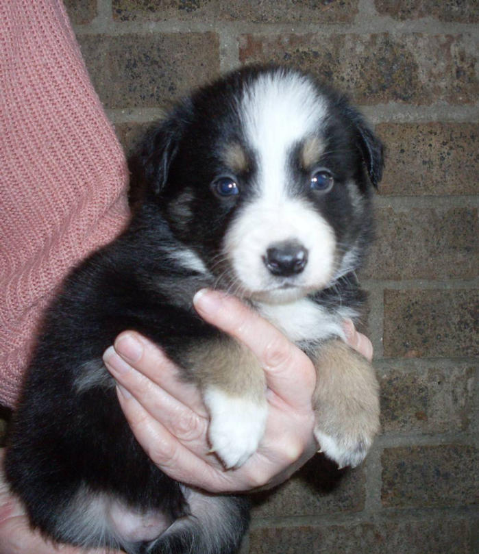 Jack