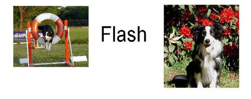 Flash