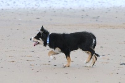 Jack