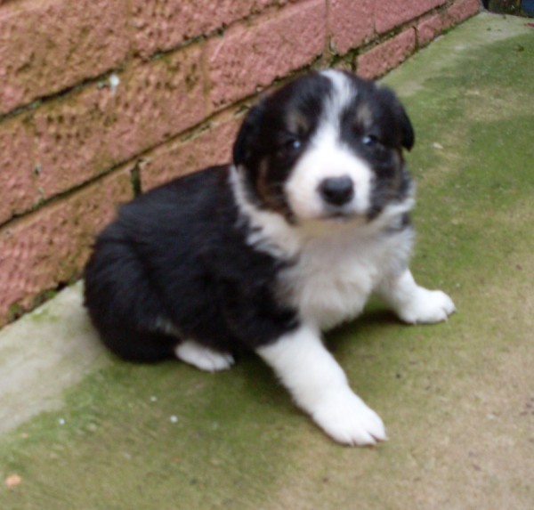 Ben 4 wks