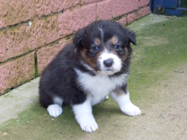 Bill 4 wks sold