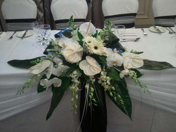 Long & Low Arrangement of Phalonopsis Orchids, Black Ostrich Feathers and Anthuriums