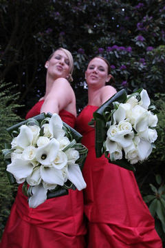 Calla lily and rose bridesmaids posies