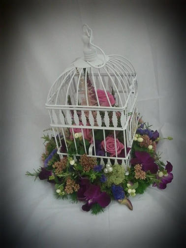 A birdcage arrangement