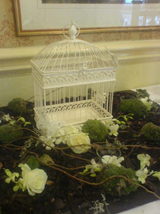 a dressed bird cage