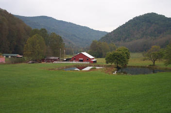 nancys barn