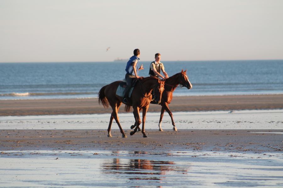 AN EARLY MORNING STROLL